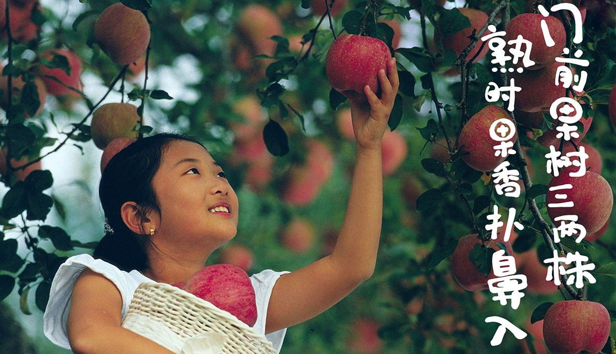 1513666270424012.jpeg 4.jpg