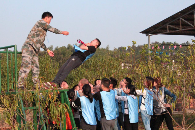 1513669557527558.png 圖片18.png